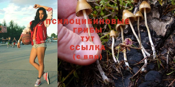 герыч Абаза