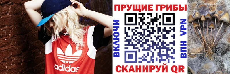 Галлюциногенные грибы прущие грибы  купить наркотик  darknet Telegram  Шумерля 